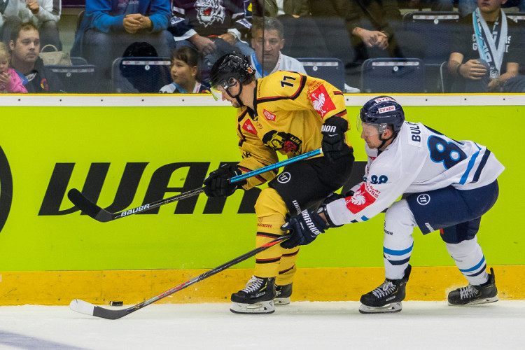 Tygři na Luleou nevyhráli. O výhře se rozhodlo v prodloužení