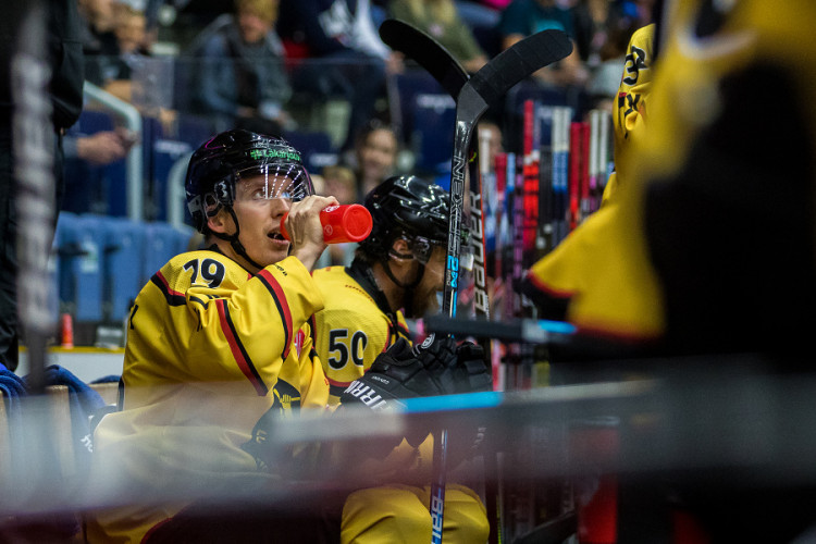 Tygři na Luleou nevyhráli. O výhře se rozhodlo v prodloužení
