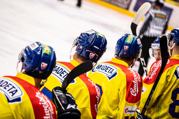 ČEZ MOTOR České Budějovice vs SK Horácká Slavia Třebíč