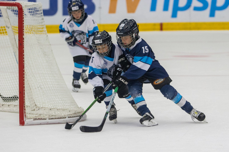 Tygři nad Bolkou zvítězili 4:3