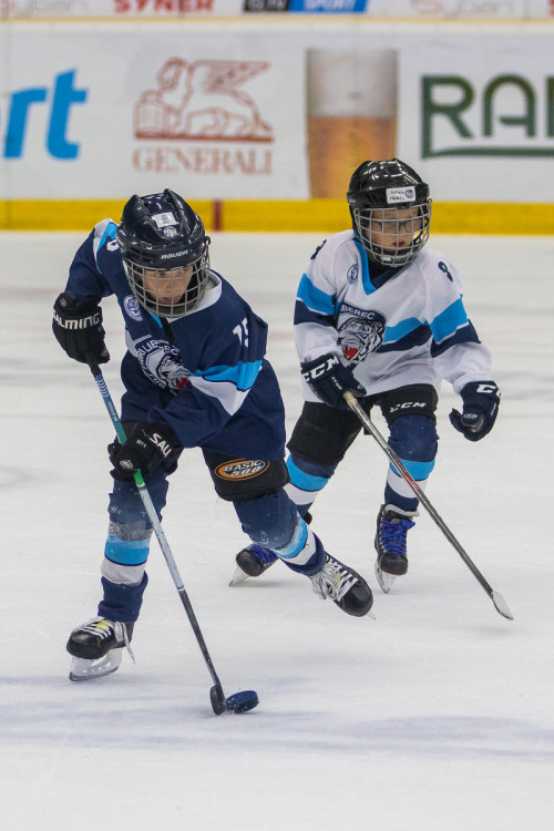 Tygři nad Bolkou zvítězili 4:3