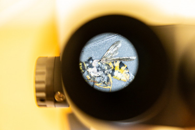 Noc vědců na VŠTE