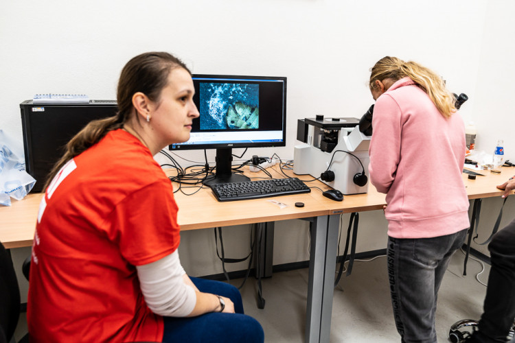 Noc vědců na VŠTE