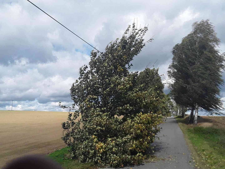 Silný vítr na Vysočině zaměstnal hasiče