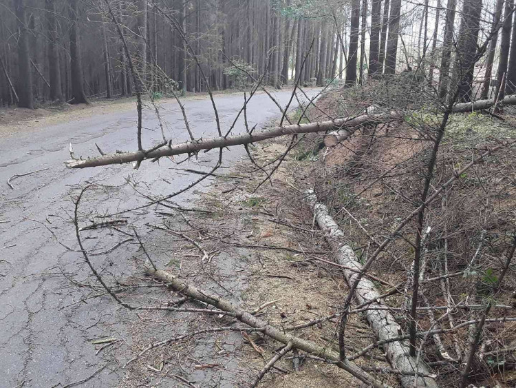 Silný vítr na Vysočině zaměstnal hasiče