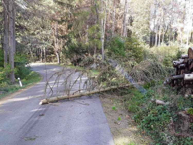 Silný vítr na Vysočině zaměstnal hasiče