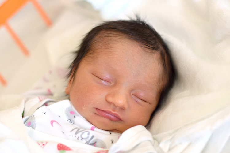 Hartmannová Markéta