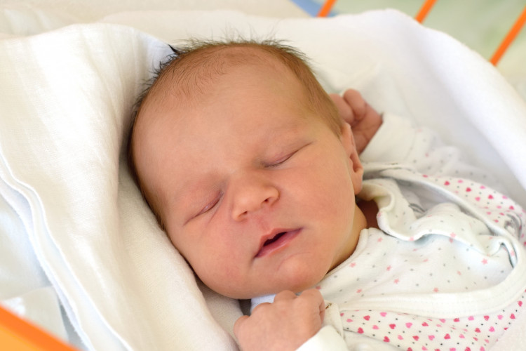 Špirochová Natálie