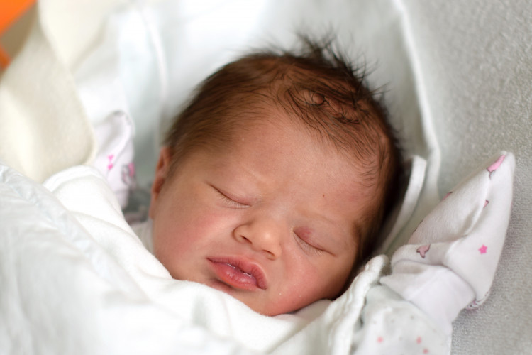 Břehovská Veronika