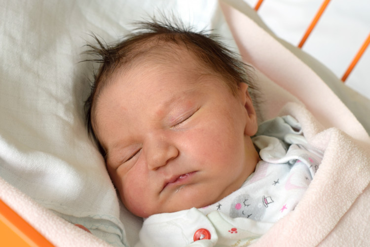 Cvrčková Štěpánka