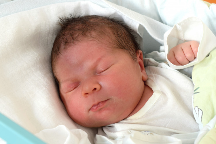 Branšovský Tomáš