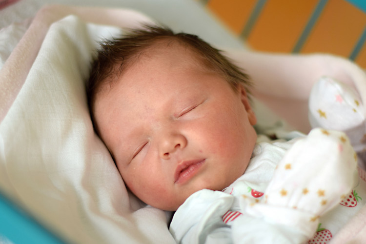 Ženčuchová Zuzana