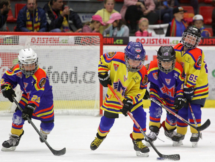 ČEZ Motor České Budějovice - HC Baník Sokolov