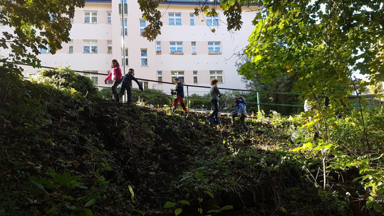 Skauti vyčistili les v Lidových sadech