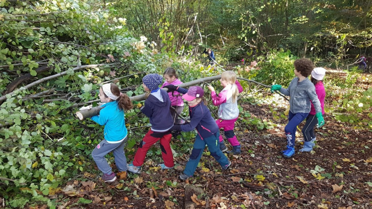 Skauti vyčistili les v Lidových sadech