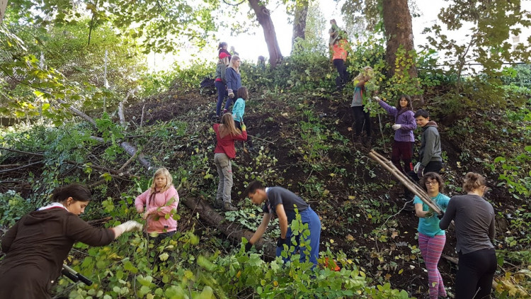Skauti vyčistili les v Lidových sadech