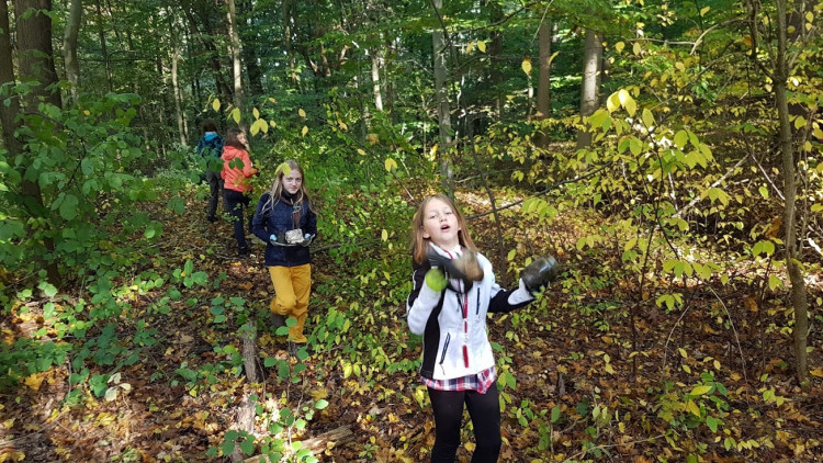 Skauti vyčistili les v Lidových sadech