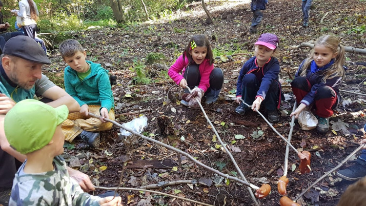 Skauti vyčistili les v Lidových sadech