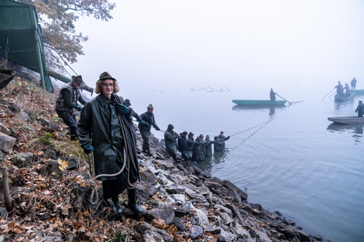 Výlov rybníku Bezdrev