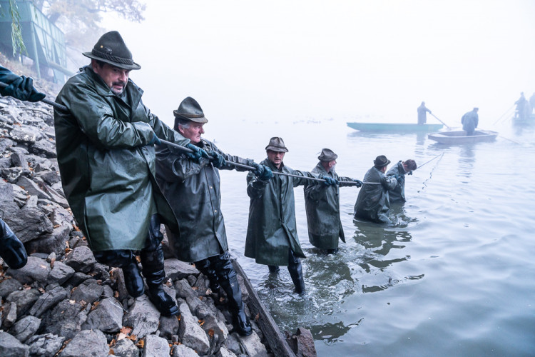 Výlov rybníku Bezdrev