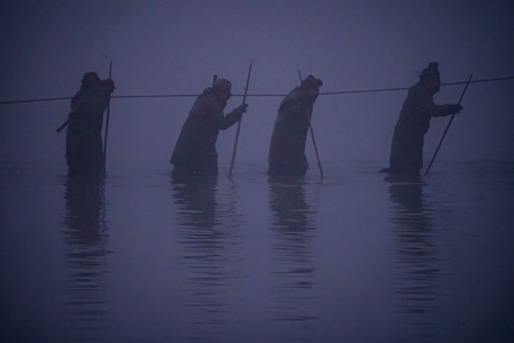 Výlov rybníku Bezdrev