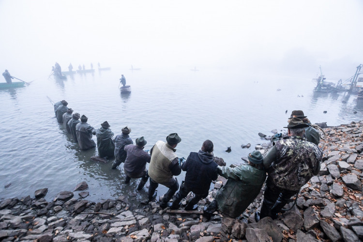 Výlov rybníku Bezdrev