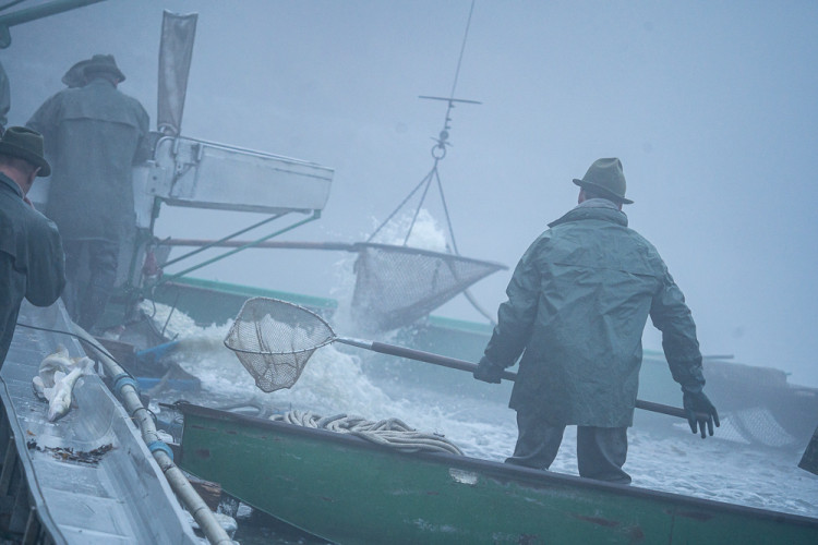 Výlov rybníku Bezdrev