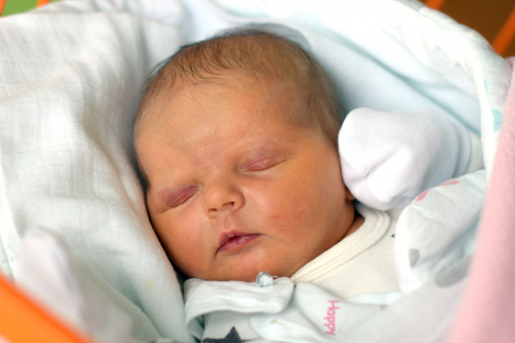 Grillová Sofie Anna