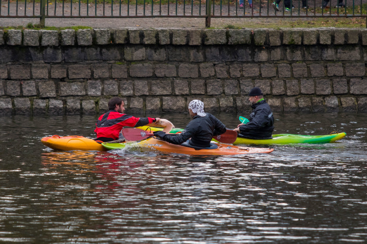 Odchyt pelikánů v liberecké zoo