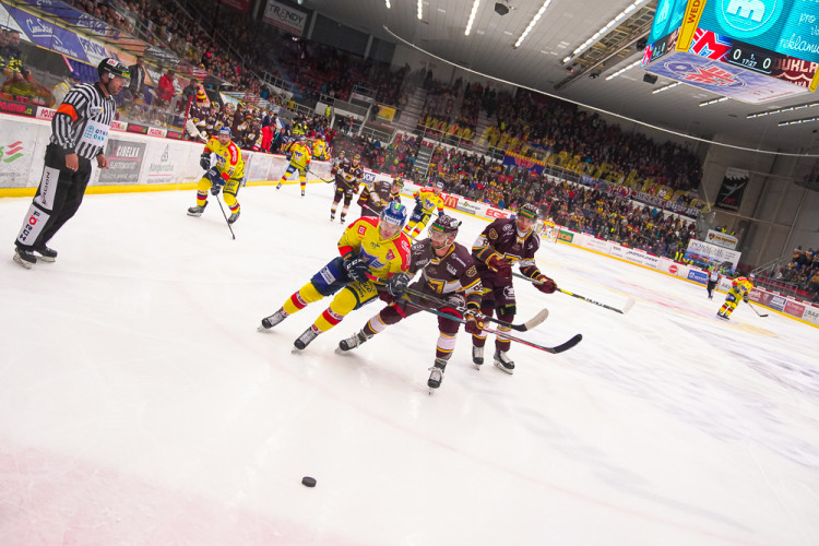 ČEZ Motor České Budějovice vs HC Dukla Jihlava