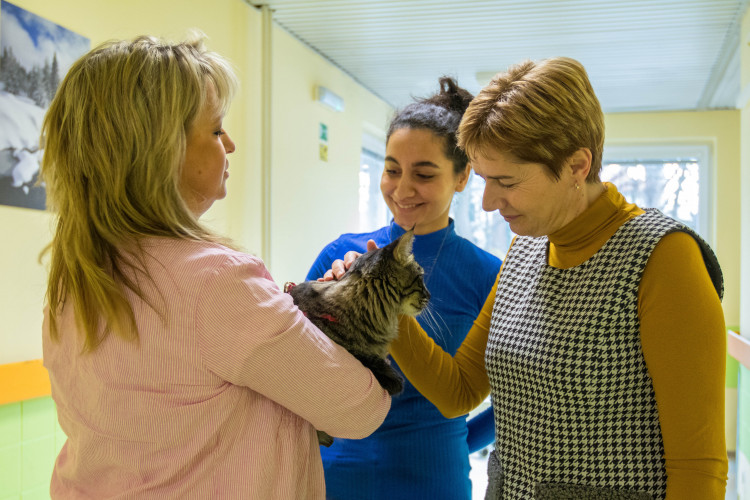 V liberecké nemocnici zlepšují pacientům náladu i zvířecí terapeuti