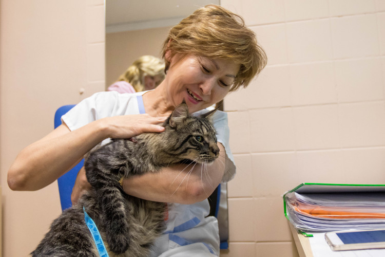 V liberecké nemocnici zlepšují pacientům náladu i zvířecí terapeuti