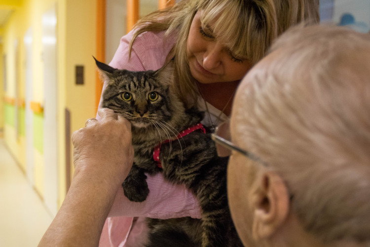 V liberecké nemocnici zlepšují pacientům náladu i zvířecí terapeuti