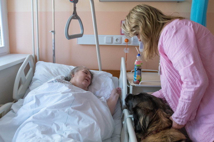 V liberecké nemocnici zlepšují pacientům náladu i zvířecí terapeuti