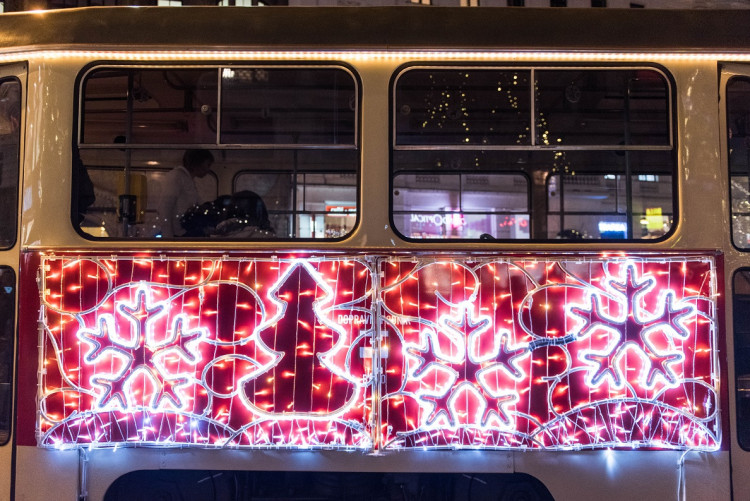 Svoboďák dnes prozářil vánoční strom. Rozsvícení stromu zahájilo vánoční trhy i ve středobodu města