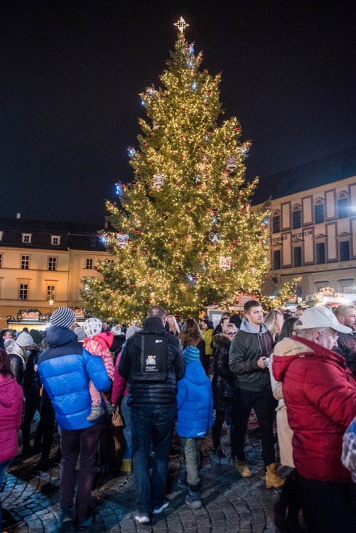 Svoboďák dnes prozářil vánoční strom. Rozsvícení stromu zahájilo vánoční trhy i ve středobodu města