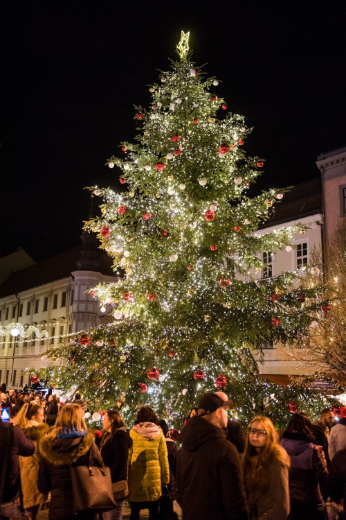 Svoboďák dnes prozářil vánoční strom. Rozsvícení stromu zahájilo vánoční trhy i ve středobodu města