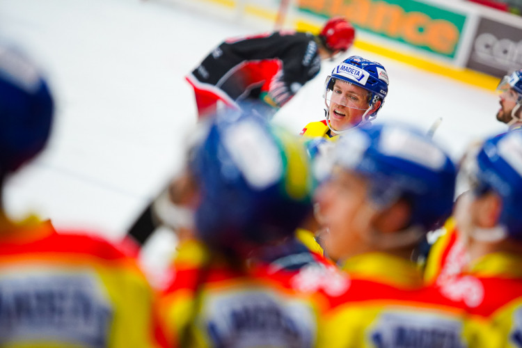 ČEZ Motor České Budějovice vs LHK Jestřábi Prostějov