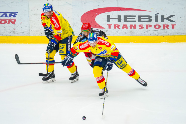 ČEZ Motor České Budějovice vs LHK Jestřábi Prostějov