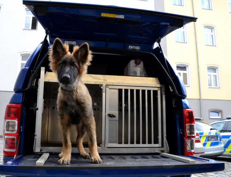 Dvacet nových aut pro policii