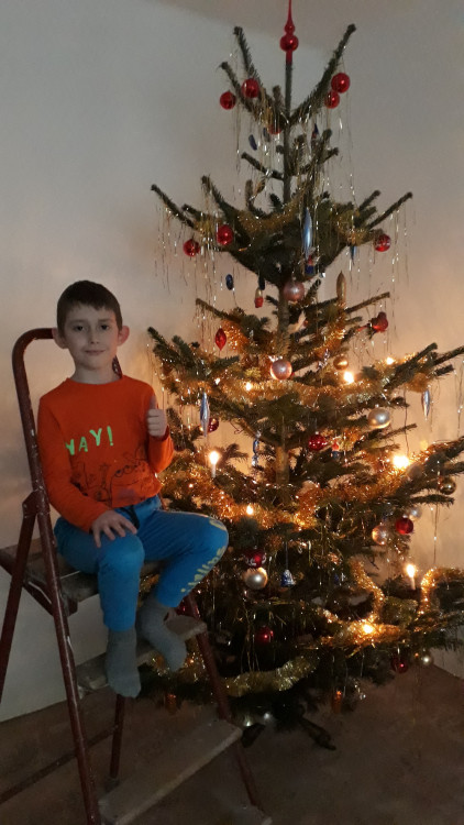 Petra Zahradníková Dvořáková