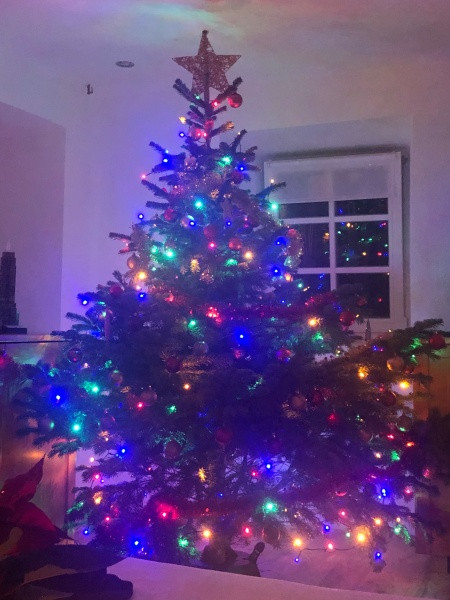 Vánoce s Drbnou: Soutěžní stromečky