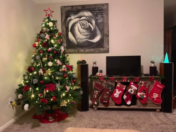 Vánoce s Drbnou: Soutěžní stromečky