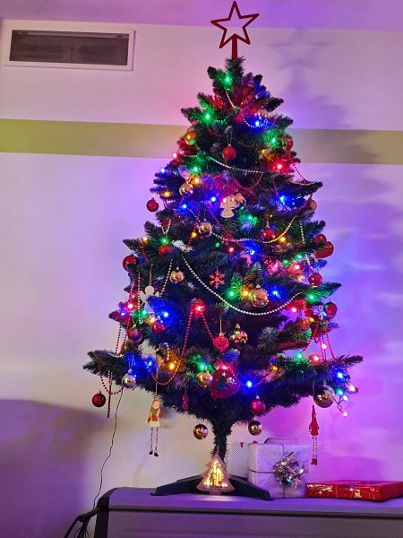 Vánoce s Drbnou: Soutěžní stromečky