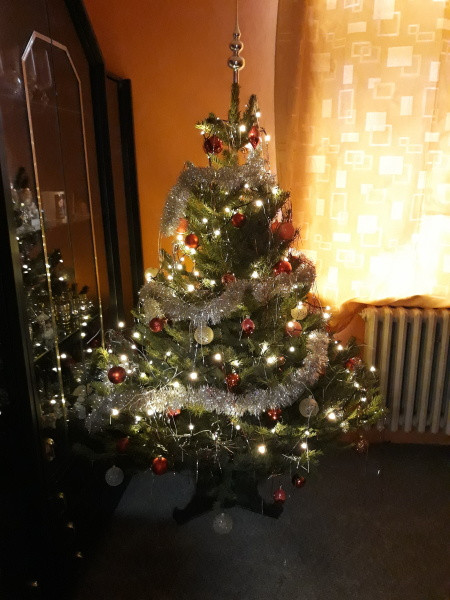 Vánoce s Drbnou: Soutěžní stromečky