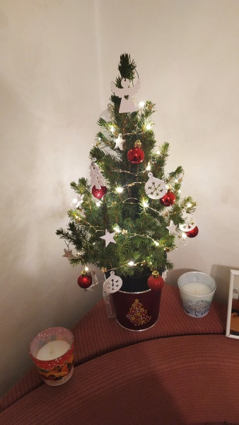 Vánoce s Drbnou: Soutěžní stromečky