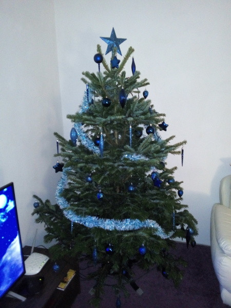 Vánoce s Drbnou: Soutěžní stromečky