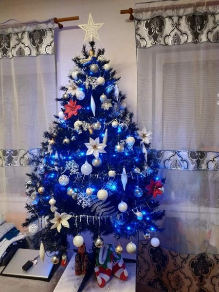 Vánoce s Drbnou: Soutěžní stromečky