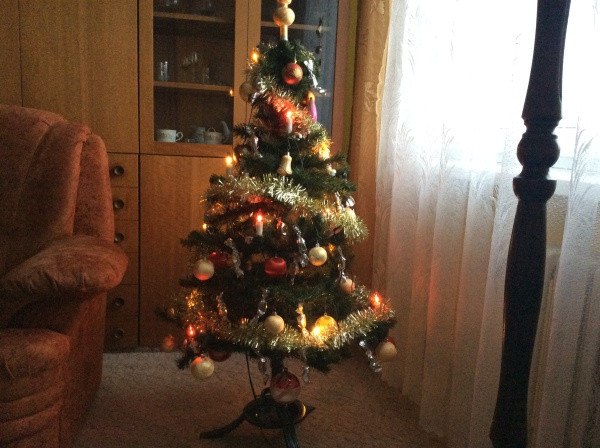 Vánoce s Drbnou: Soutěžní stromečky