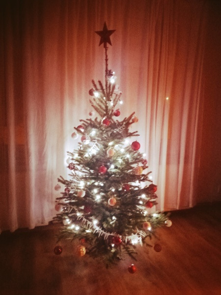 Vánoce s Drbnou: Soutěžní stromečky